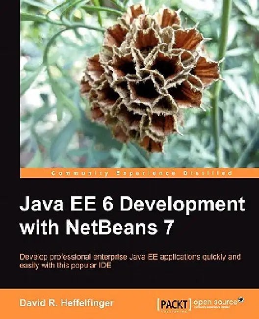 Java EE 6 Development With Netbeans 7 - David Heffelfinger view 2