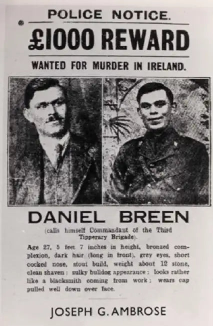 Buy Dan Breen And The IRA (English, Joe Ambrose) — BookShops.in