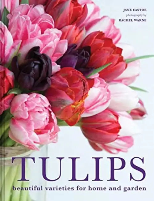 Buy Tulips (English, Jane Eastoe) — BookShops.in