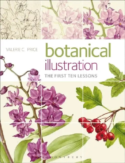 Buy Botanical Illustration (English, Valerie Price) — BookShops.in