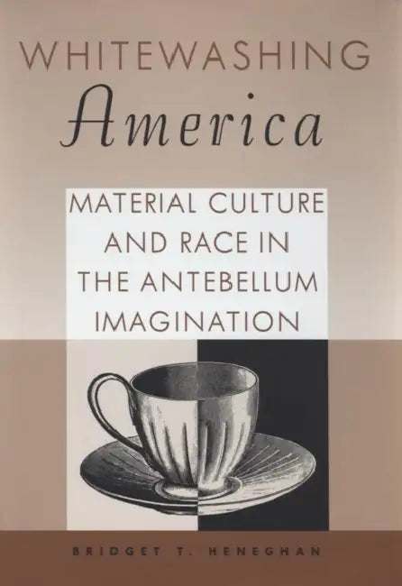 Buy Whitewashing America (English, Bridget T. Heneghan) — BookShops.in