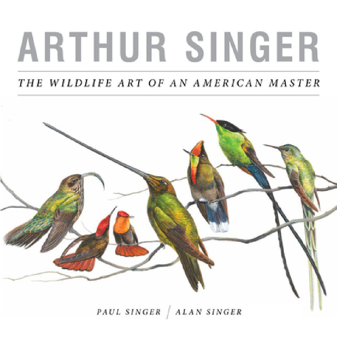 Buy Arthur Singer (English, Alan Singer | Paul Singer) — BookShops.in