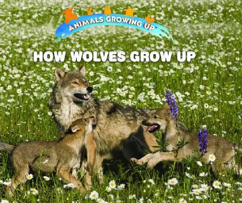 Buy How Wolves Grow Up (English, Linda Bozzo) — BookShops.in