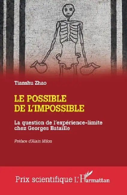 Buy Le possible de l'impossible (English, Tianshu Zhao | Alain Milon) — BookShops.in