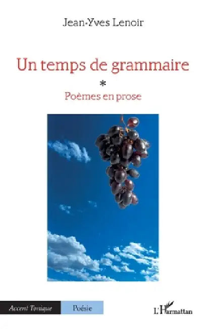 Buy Un temps de grammaire (English, Jean-Yves Lenoir) — BookShops.in