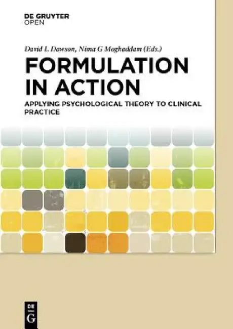 Buy Formulation in Action (English, David Dawson | Nima Moghaddam) — BookShops.in