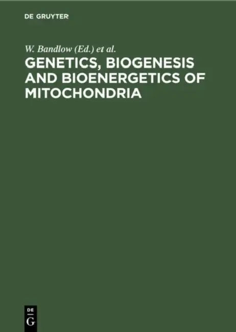 Genetics, Biogenesis and Bioenergetics of Mitochondria: Proceedings of a Symposium held at the Genetisches Institut der Universität München, September 11–13, 1975 view 4