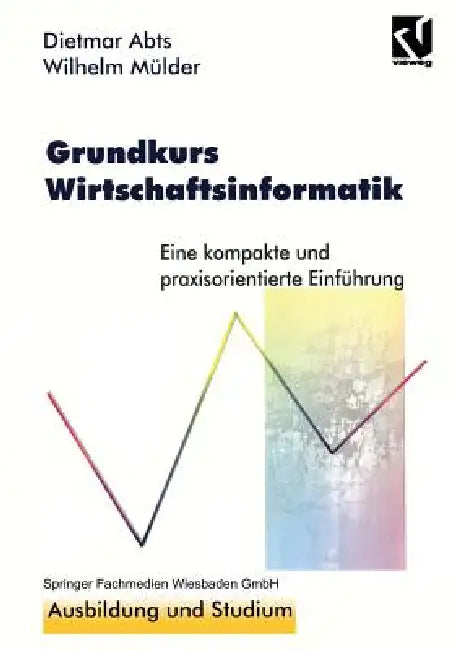 Buy Grundkurs Wirtschaftsinformatik (English, Dietmar Abts) — BookShops.in