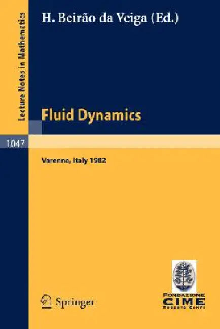 Buy Fluid Dynamics (English, H. Beirao Da Veiga) โ BookShops.in