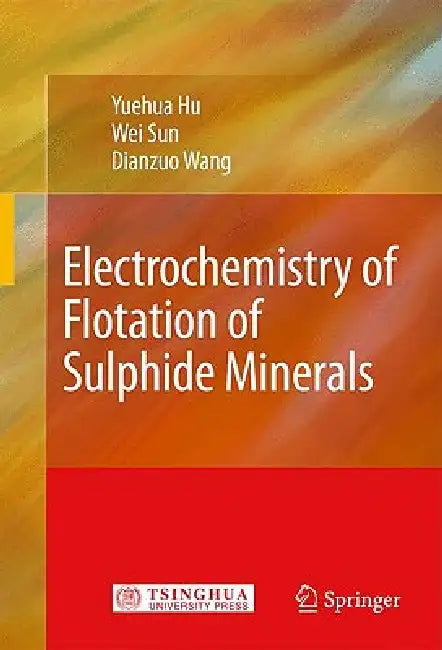 Buy Electrochemistry of Flotation of Sulphide Minerals (English, Yuehua Hu | Wei Sun | Dianzuo Wang) — BookShops.in