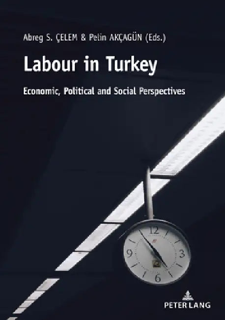 Buy Labour in Turkey (English, Abreg Çelem | Pelin Akçagün) — BookShops.in