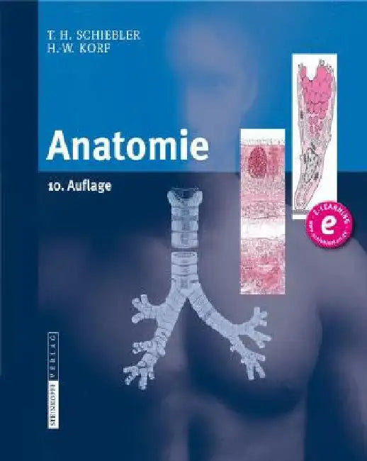Buy Anatomie (English, Theodor H. Schiebler | Horst-W Korf) — BookShops.in