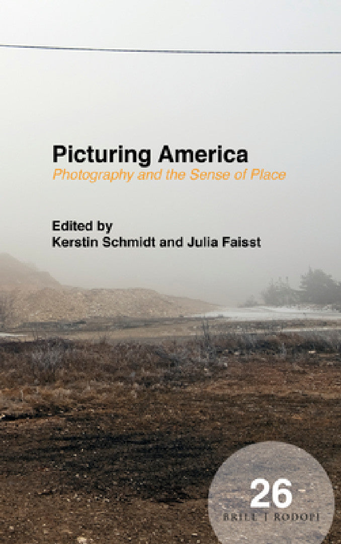 Buy Picturing America (English, Kerstin Schmidt) — BookShops.in