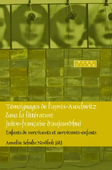 Buy Témoignages de l'après-Auschwitz dans la littérature juive-française d'aujourd'hui (English, Annelies Schulte Nordholt) — BookShops.in