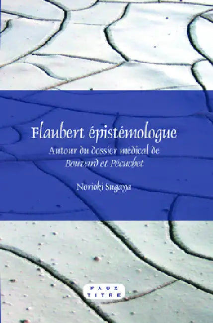 Buy Flaubert épistémologue (English, Norioki Sugaya) — BookShops.in