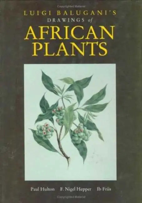 Buy Luigi Balugani's Drawings of African Plants (English, Hulton Paul) — BookShops.in