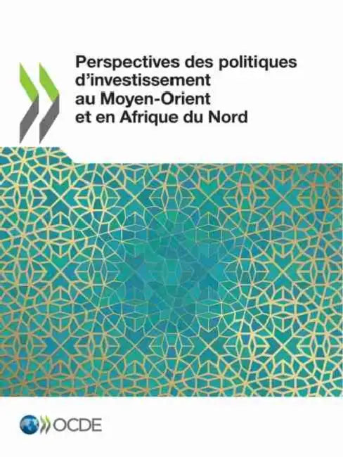 Buy Perspectives Des Politiques d'Investissement Au Moyen-Orient Et En Afrique Du Nord (English, Oecd) — BookShops.in