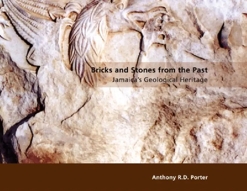 Buy Bricks and Stones from the Past (English, Anthony R. D. Porter) — BookShops.in