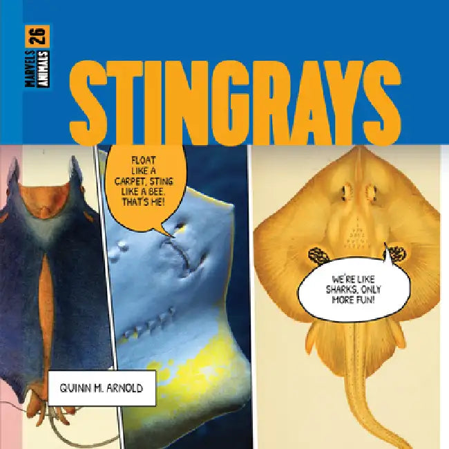 Buy Stingrays (English, Quinn M. Arnold) — BookShops.in