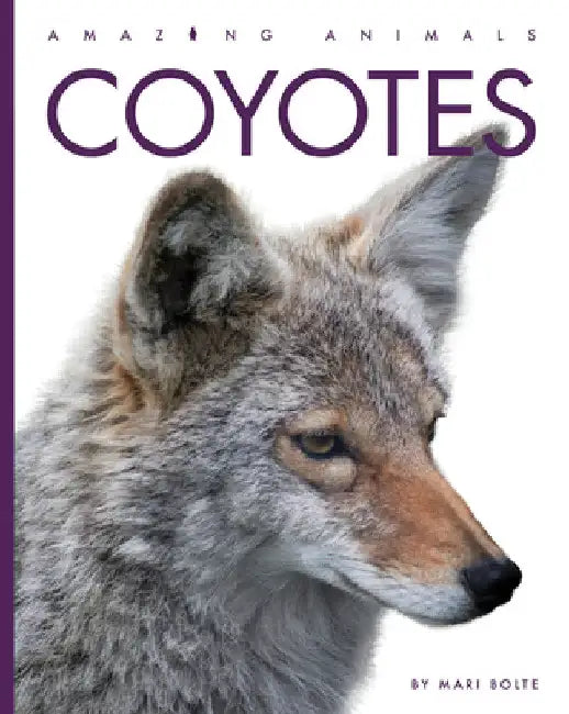 Buy Coyotes (English, Mari Bolte) — BookShops.in