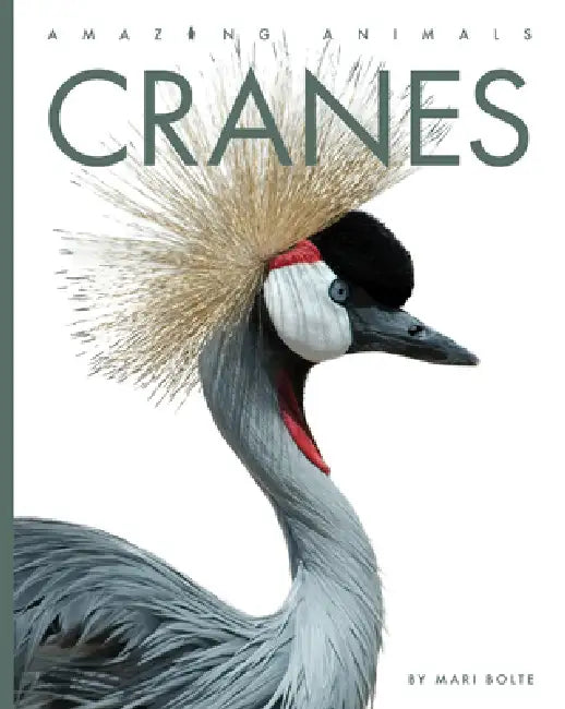 Buy Cranes (English, Mari Bolte) — BookShops.in