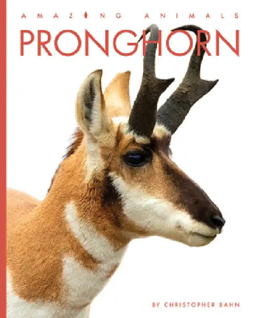 Buy Pronghorn (English, Christopher Bahn | Jeanine Murch) — BookShops.in