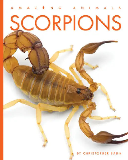 Buy Scorpions (English, Christopher Bahn | Jeanine Murch) — BookShops.in