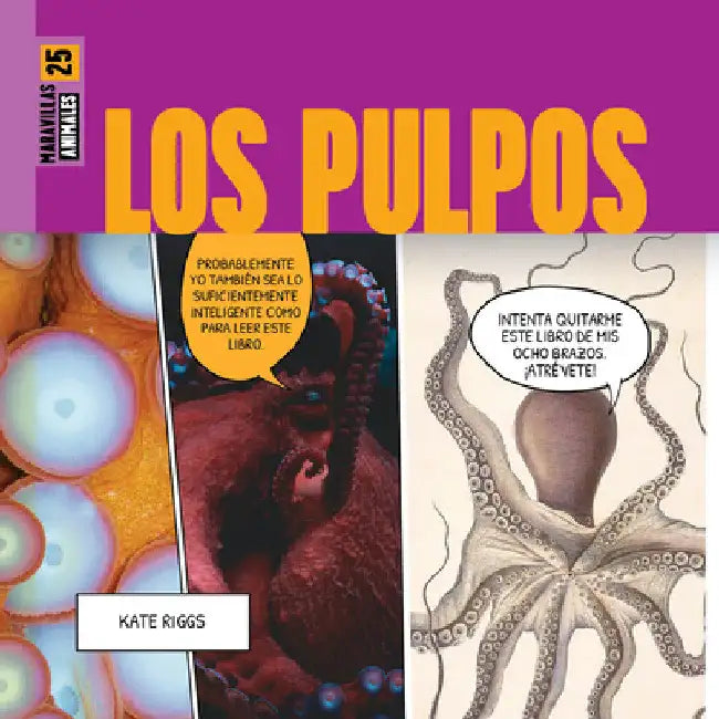 Buy Los Pulpos (English, Kate Riggs) — BookShops.in