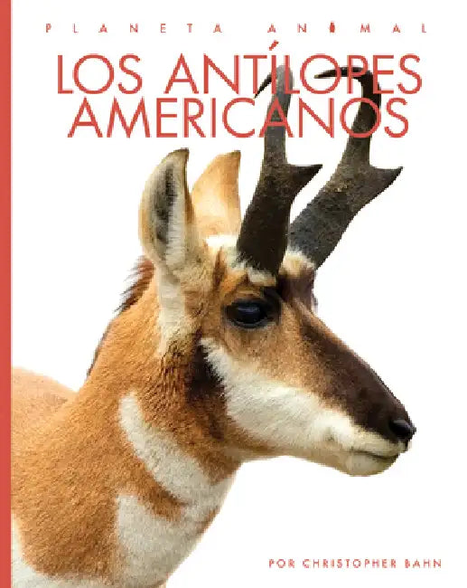 Buy Los Antílopes Americanos (English, Christopher Bahn) — BookShops.in