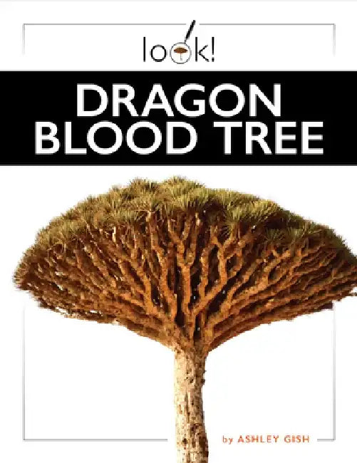 Buy Dragon Blood Tree (English, Ashley Gish) — BookShops.in