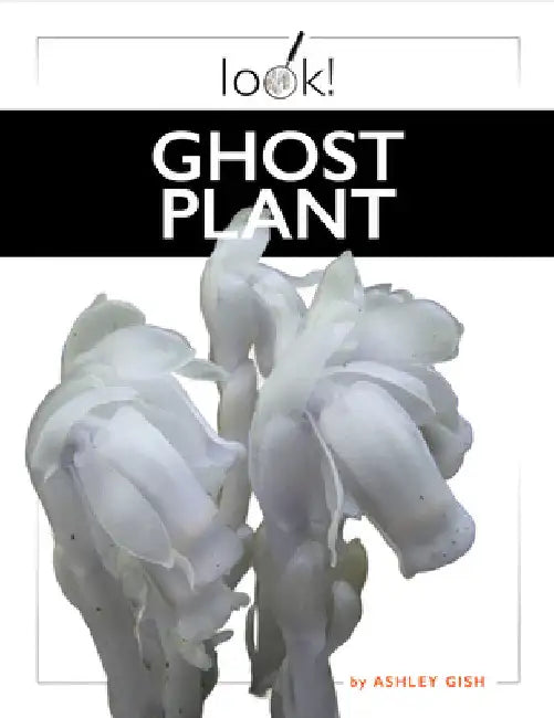 Buy Ghost Plant (English, Ashley Gish) — BookShops.in