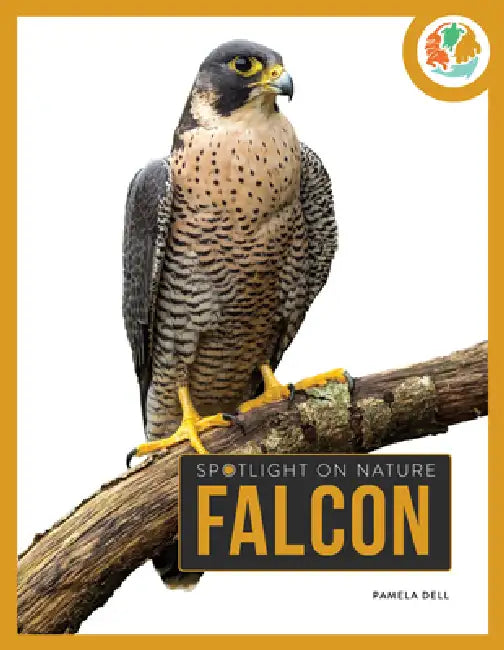 Buy Falcon (English, Pamela Dell) — BookShops.in