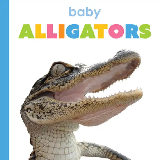 Buy Baby Alligators (English, Kim Thompson) — BookShops.in