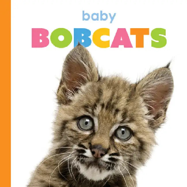 Buy Baby Bobcats (English, Kim Thompson) — BookShops.in