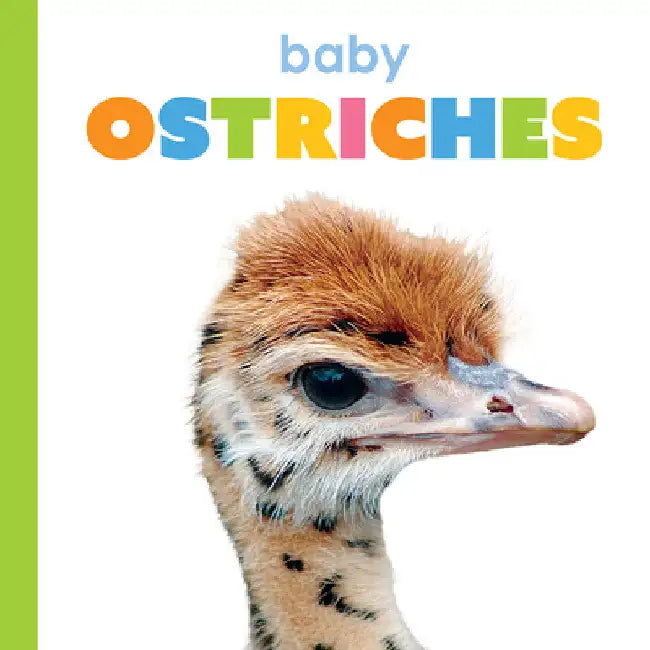Buy Baby Ostriches (English, Kim Thompson) — BookShops.in