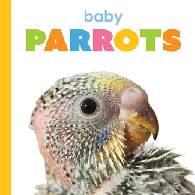 Buy Baby Parrots (English, Kim Thompson) — BookShops.in