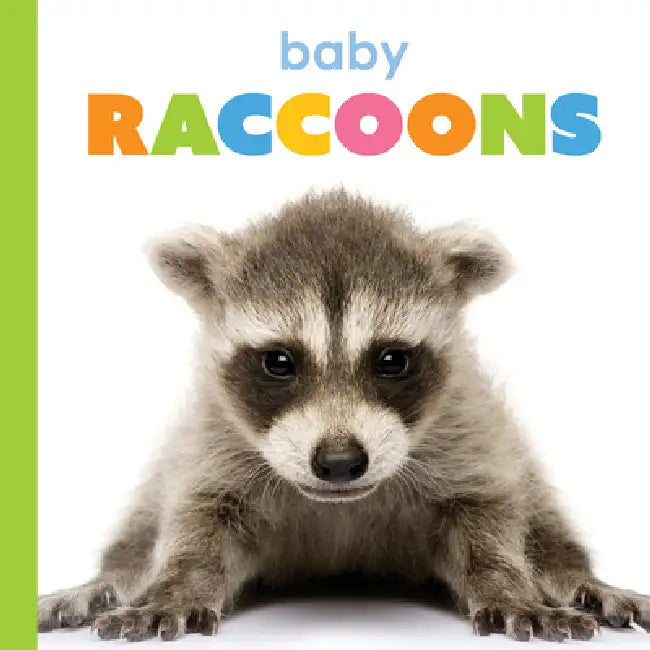 Buy Baby Raccoons (English, Kim Thompson) — BookShops.in