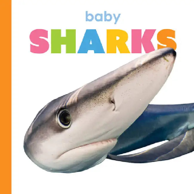 Buy Baby Sharks (English, Kim Thompson) — BookShops.in
