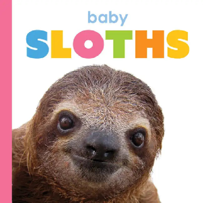Buy Baby Sloths (English, Kim Thompson) — BookShops.in