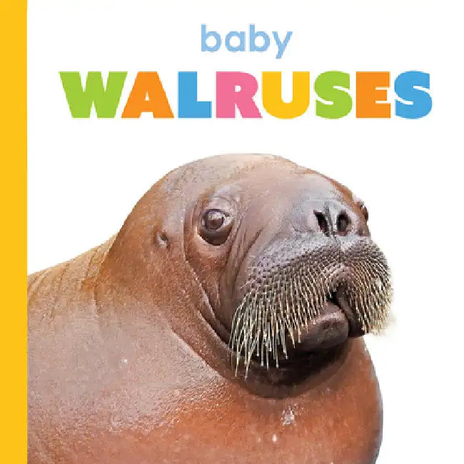 Buy Baby Walruses (English, Kim Thompson) — BookShops.in