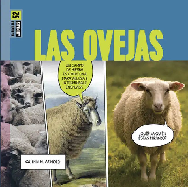 Buy Las Ovejas (English, Quinn M. Arnold) — BookShops.in