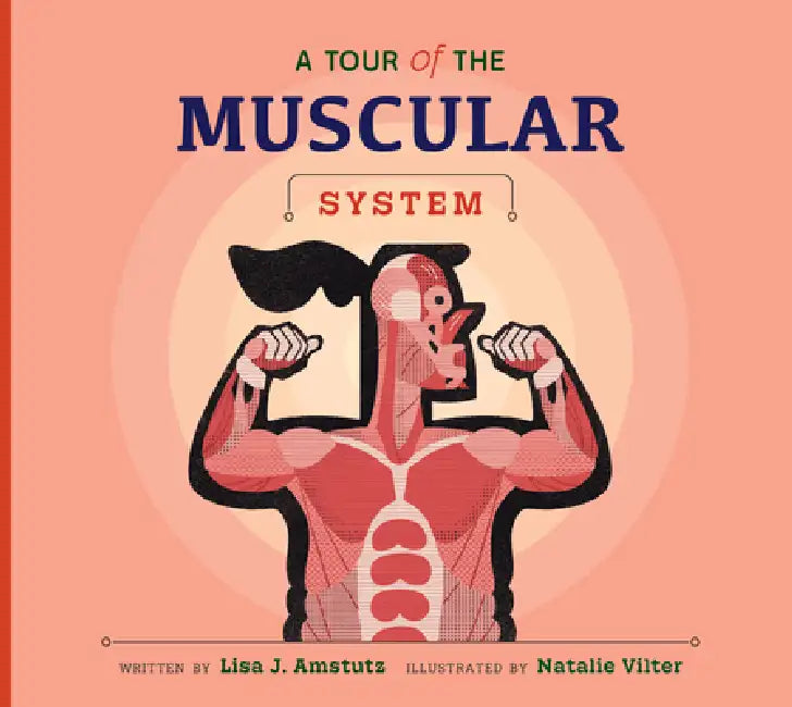 Buy A Tour of the Muscular System (English, Lisa J. Amstutz | Natalie Vilter) — BookShops.in