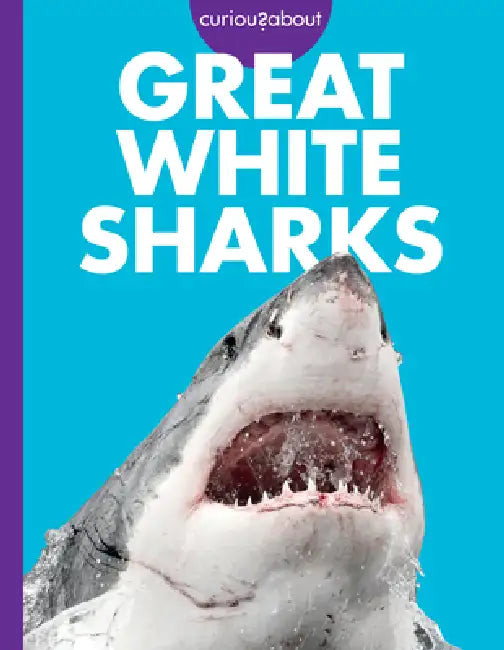 Buy Curious about Great White Sharks (English, Monika Davies) — BookShops.in