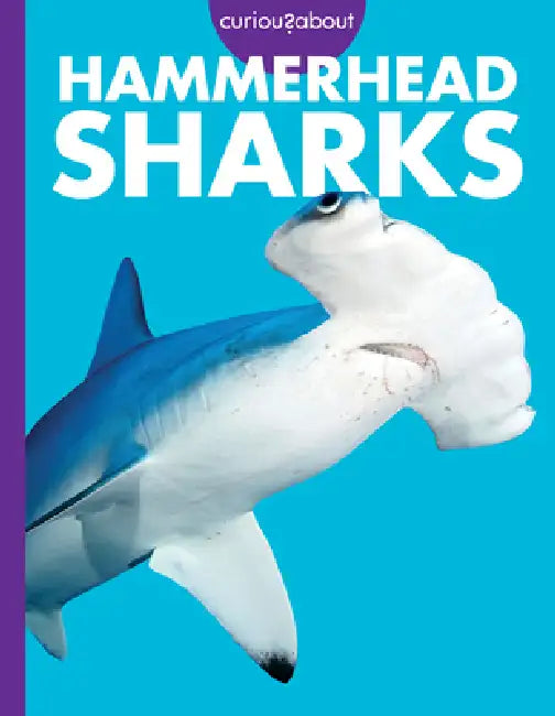 Buy Curious about Hammerhead Sharks (English, Monika Davies) — BookShops.in