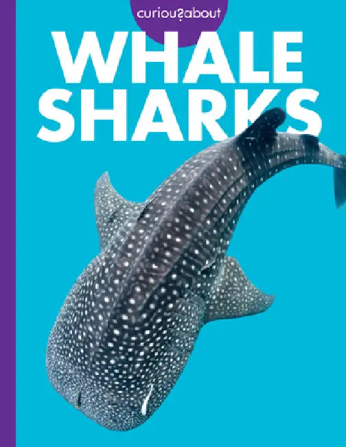 Buy Curious about Whale Sharks (English, Monika Davies) — BookShops.in