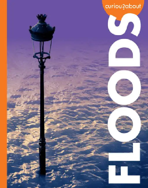 Buy Curious about Floods (English, Rachel Grack) — BookShops.in