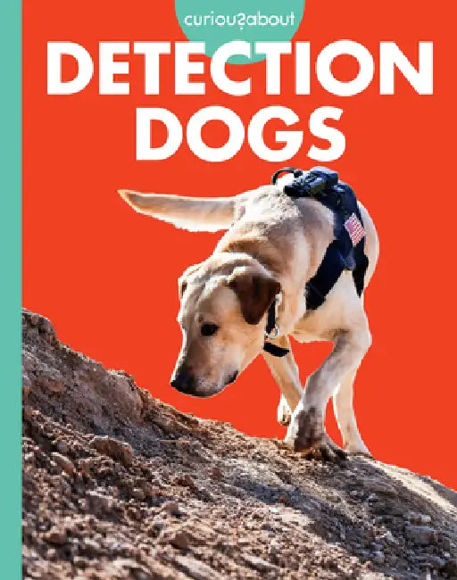 Buy Curious about Detection Dogs (English, Cari Meister) — BookShops.in