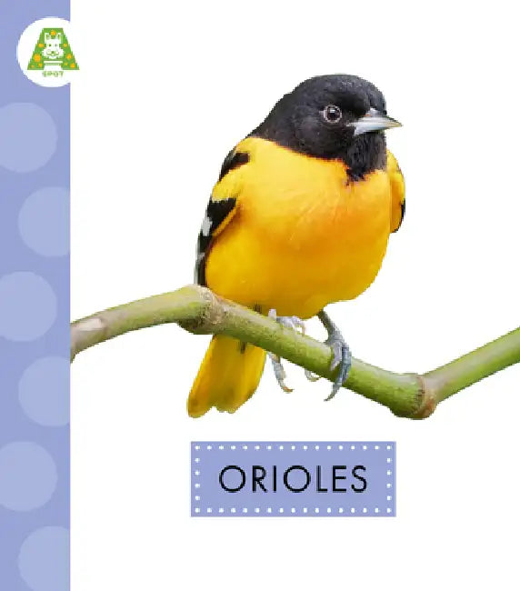 Buy Orioles (English, Anastasia Suen) — BookShops.in