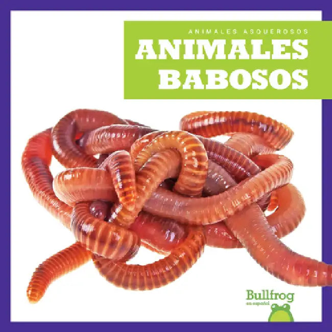 Buy Animales Babosos (Slimy Animals) (English, Katie Chanez) — BookShops.in