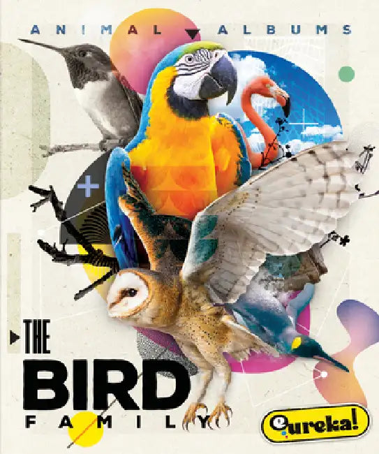 Buy The Bird Family (English, Alex Monroe) — BookShops.in